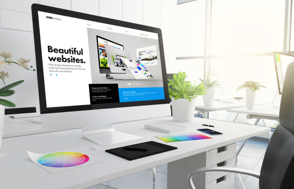 Website Development Agency services